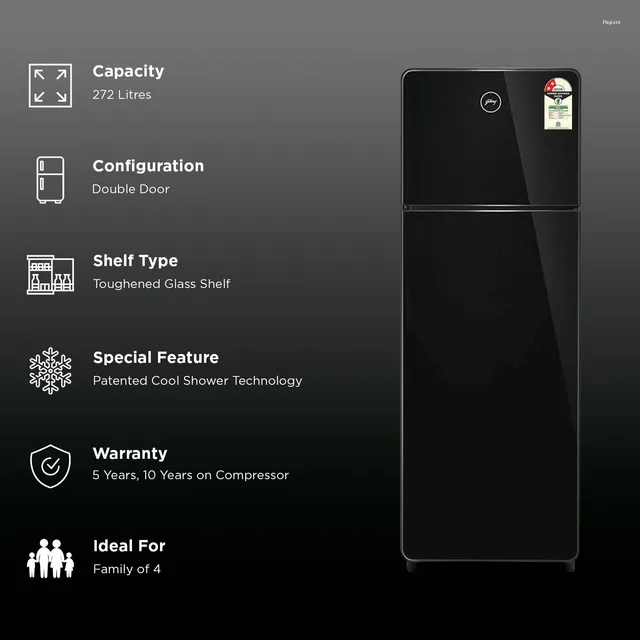 Godrej Eon Crystal 272 Litres 2 Star Frost Free Double Door Bottom Mount Refrigerator with Inverter Technology (RT EONCRYSTAL 310B, Black)