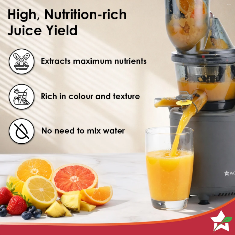 Wonderchef Regalia 240W Full Fruit Cold Press Slow Juicer, 55 RPM, 76mm Large Feeding Tube, High Juice Yield