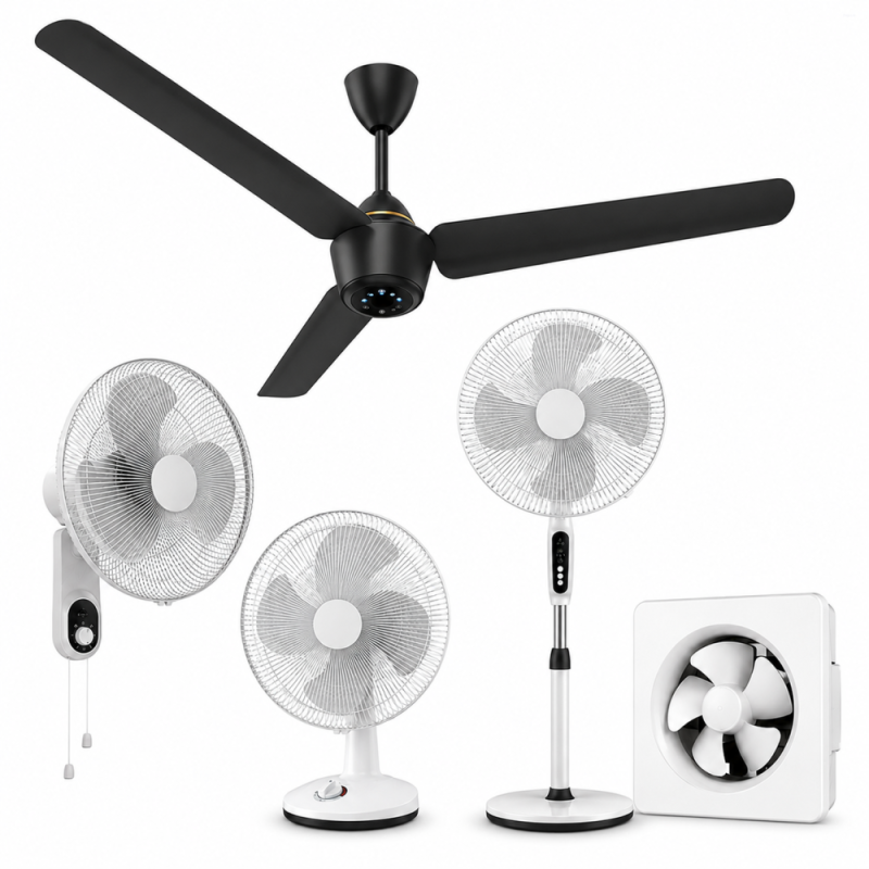 Fan